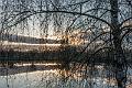 2015_12_08 (0019)